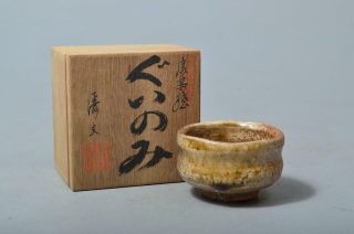 T3350: Japanese Shigaraki - Ware Youhen Pattern Guinomi Sake Cup W/signed Box