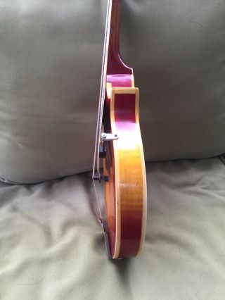 Vintage Gibson A - 5 Two Point Mandolin Jethro Burns Model 1968 Tubby Tone RARE 7