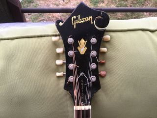 Vintage Gibson A - 5 Two Point Mandolin Jethro Burns Model 1968 Tubby Tone RARE 8