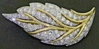 Vintage Heavy Platinum/18k Gold 5.  50ctw Vs1/f Diamond Cluster Plant Leaf Brooch