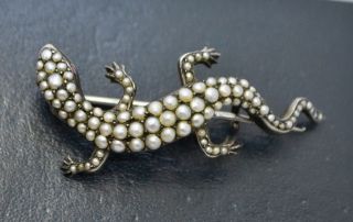 Fine Victorian Solid Silver & Seed Pearl Lizard Brooch With Ruby Eyes - Quality