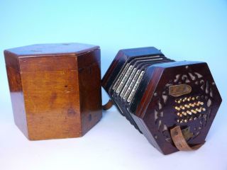 Antique 48 Button Concertina Possibly Lachenal Or Wheatstone With Wooden Box