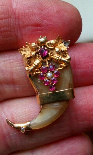 Antique Victorian HIGH CARAT Gold Mounted Tigers Claw Brooch Pin with Rubies 5