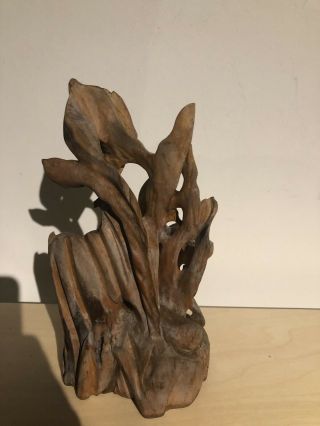 Chinese Carved Wooden Figure Of School Of Fish Around Reef/rock 3