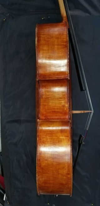 Vintage 1914 Italian cello 4/4,  labeled by Luigi Galimberti 3