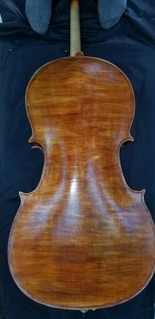 Vintage 1914 Italian cello 4/4,  labeled by Luigi Galimberti 4