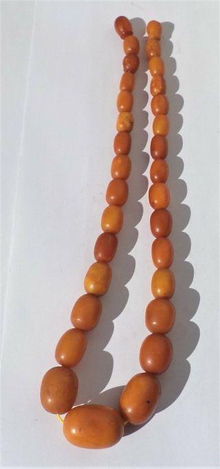 NATURAL OLD ANTIQUE BUTTERSCOTCH EGG YOLK BALTIC AMBER NECKLACE 24,  01 grams. 2