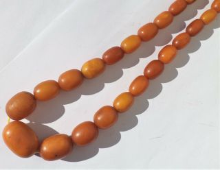 NATURAL OLD ANTIQUE BUTTERSCOTCH EGG YOLK BALTIC AMBER NECKLACE 24,  01 grams. 3
