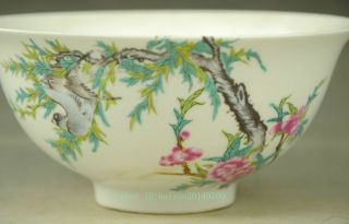Rare Chinese Porcelain QianLong Dynasty Plum Blossom Tree Bowl Bowls Statue b01 2