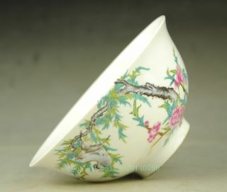 Rare Chinese Porcelain QianLong Dynasty Plum Blossom Tree Bowl Bowls Statue b01 3