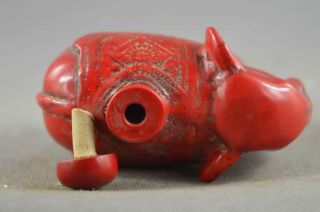 Auspicious Souvenir Collectable Chinese Coral Carve Elephant Old Snuff Bottle 4