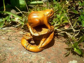 Hand Carved Wood Netsuke Frog Upon Lotus Or Toadstool Collectable Boxwood Figure