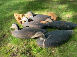 Antique Ll Bean Black Duck Decoys.  5 Cork Decoys,  Wood Heads,  Bag.  Soule Era.