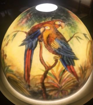 Vtg Reverse Painted Glass Lamp Shade Jungle Birds Parrots Globe - Handel style 2