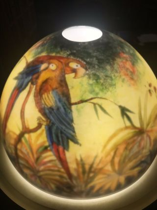 Vtg Reverse Painted Glass Lamp Shade Jungle Birds Parrots Globe - Handel style 3