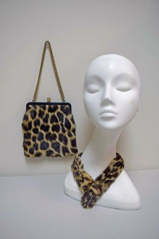 Vintage 1930s 1940s Cheetah Fur Puse And Neckband Collar Scarf W Chain Strap