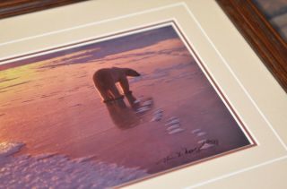Thomas Mangelsen Lone Male Bear on Ice Signed Numbered Color Photograph Rare 4