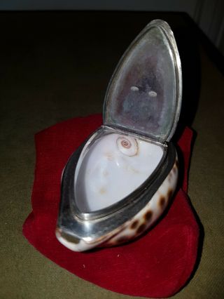 Antique Silver Mounted Cowrie Shell Snuff Box,  Richard Haxton - 18th century 10