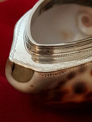 Antique Silver Mounted Cowrie Shell Snuff Box,  Richard Haxton - 18th century 8