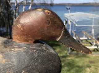 Vintage Petersen Factory Canvasback Drake Duck Decoy Paint Michigan