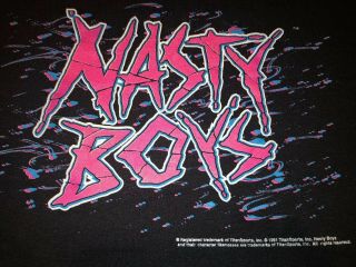 Rare Vintage 1991 Wwf Nasty Boys Shirt Wrestling Wwe Wcw Ecw Nwo Rap 90s
