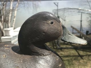 Vintage Ben Schmidt Canvasback Hen Duck Decoy Paint Michigan