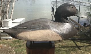 VINTAGE BEN SCHMIDT CANVASBACK HEN DUCK DECOY PAINT MICHIGAN 2