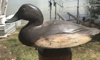 VINTAGE BEN SCHMIDT CANVASBACK HEN DUCK DECOY PAINT MICHIGAN 3