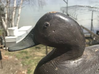 VINTAGE BEN SCHMIDT CANVASBACK HEN DUCK DECOY PAINT MICHIGAN 4