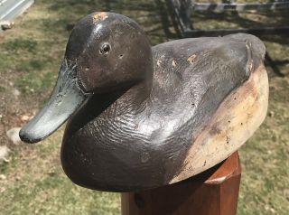 VINTAGE BEN SCHMIDT CANVASBACK HEN DUCK DECOY PAINT MICHIGAN 5