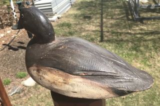 VINTAGE BEN SCHMIDT CANVASBACK HEN DUCK DECOY PAINT MICHIGAN 8