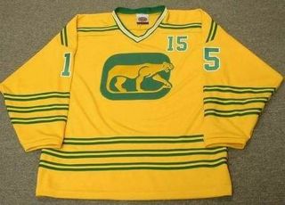 ERIC NESTERENKO Chicago Cougars 1974 WHA Vintage Throwback Hockey Jersey 2