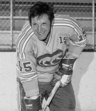 ERIC NESTERENKO Chicago Cougars 1974 WHA Vintage Throwback Hockey Jersey 3