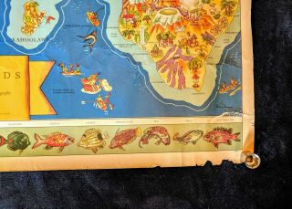 Antique Vintage 1937 Dole Hawaiian Islands Map 2