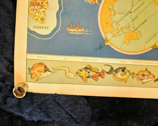 Antique Vintage 1937 Dole Hawaiian Islands Map 5