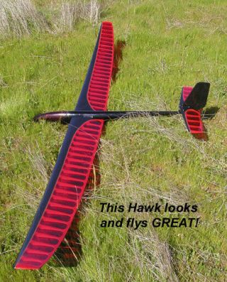 Hobie Hawk Vintage R/C Glider 5
