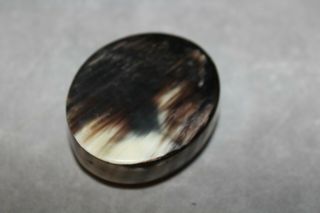 19th Century Horn Snuff Box - Sheen