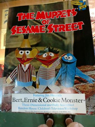 1971 The Muppets of Sesame Street Bert Ernie & Cookie Monster Vintage RARE 2