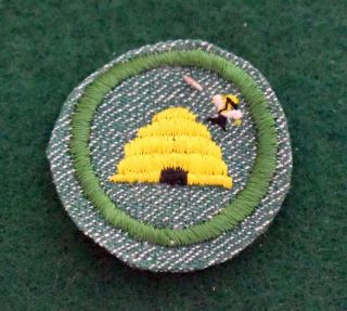 Vintage Girl Scout Badge - 1947 Beekeeping - Bright Medium Green - Scarce -