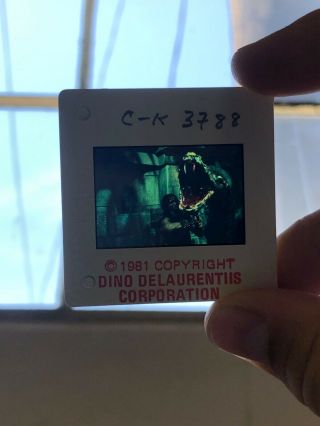 34 Count Rare1981 Vintage Conan Movie Slides From The Film Arnold Schwarzenegger