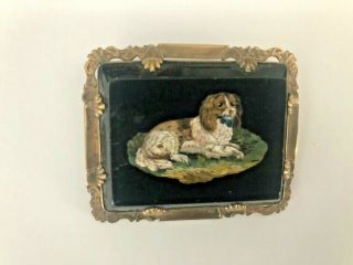Museum Quality Antique Gold Micro Mosaic Brooch With Spaniel Dog