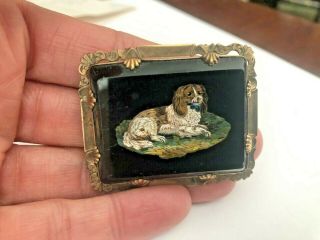 MUSEUM QUALITY ANTIQUE GOLD MICRO MOSAIC BROOCH WITH SPANIEL DOG 2