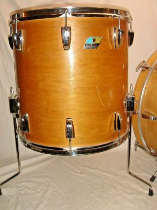 Gorgeous Vintage 1969 Ludwig 3 - PC MAPLE THERMOGLOSS - CLASSIC Drum Outfit 9