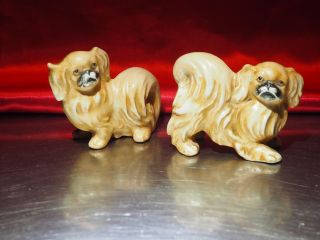 Vintage Germany Marked V Eagle Porcelain Peke Pekingese Dog Salt Pepper Shakers