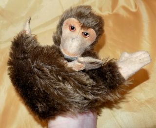 Vintage Steiff Jocko Monkey Chimp Hand Puppet Mohair Fur,  Felt Face Toy 1959 - 64