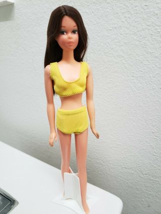 Vtg Mod Barbie: Baggie Francie Doll in HTF Yellow Bikini 2