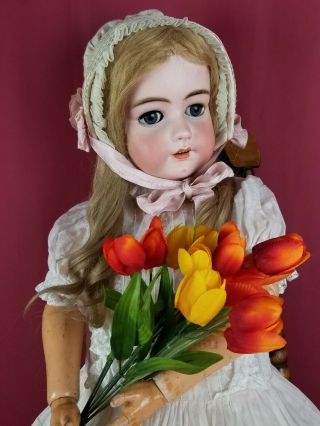 Antique German Bisque Head Doll Simon Halbig 1079 Large 30in Beauty Blue Eyes