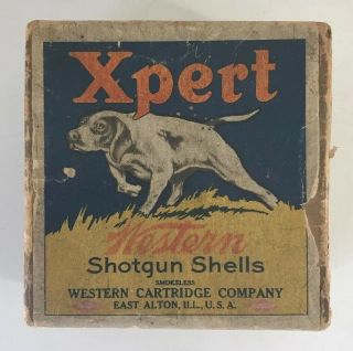 Antique Western Xpert 2 Pc Shotgun Shot Shell Box 12 Ga W/pointer Dog Rare Empty