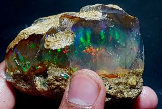 Huge Ethiopian Welo Rough Opal Aa,  Specimen Bright Fire Rare Find 720 Crt Lk[3