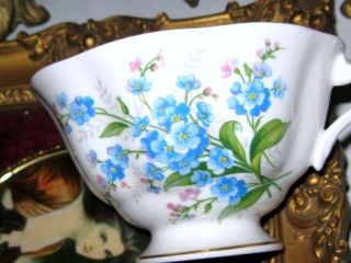 Royal Albert Forget - Me - Not Floral English Bone China Blue Teacup and Saucer Set 5